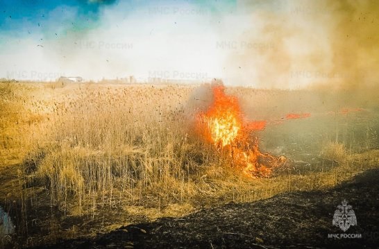 Внимание! В Омской области начался пожароопасный период!.